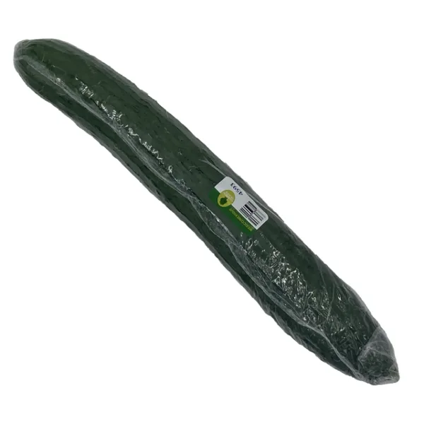 Cucumber